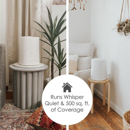 Crane Ultrasonic Cool Mist Humidifier - 1.2 Gallon Essential Oil Diffuser with Nightlight & Auto Shut-Off