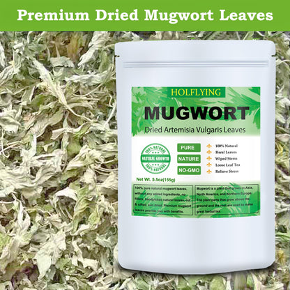 Dried Mugwort Leaves, 5.5oz(155.0g), Mugwort Leaf, Natural Artemisia Vulgaris Herbal Loose Leaves