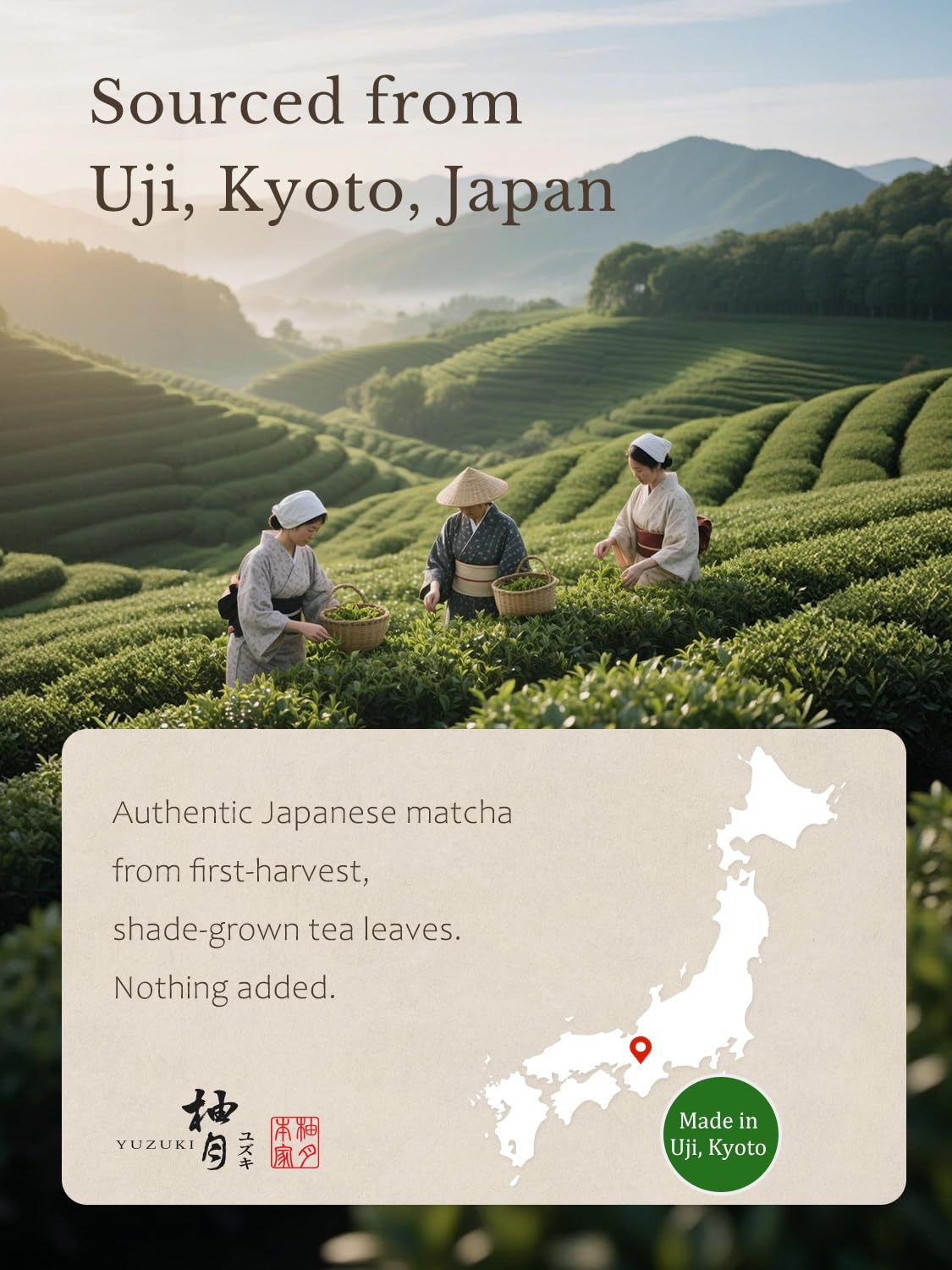 YUZUKI Matcha Powder - Ceremonial Grade Green Tea - First Harvest, Zero Sugar - 100g from Uji Kyoto
