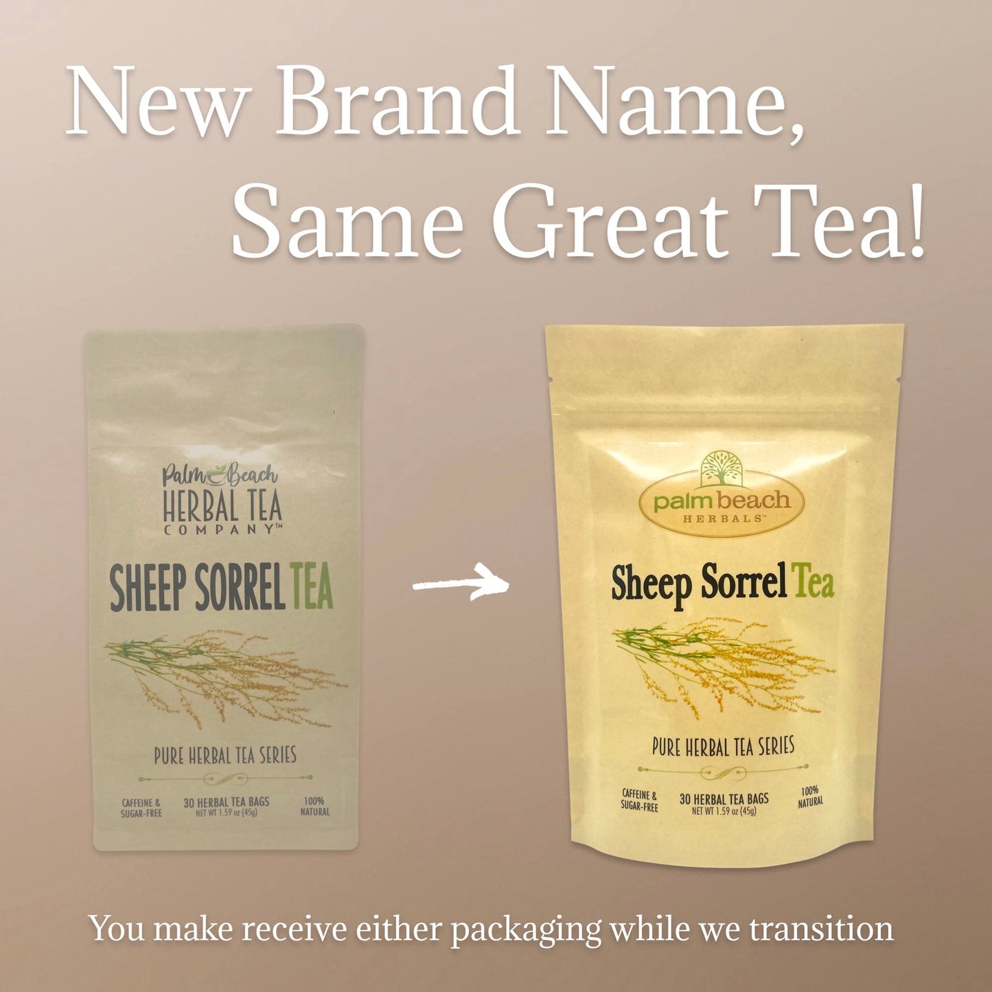 Sheep Sorrel Tea - Pure Herbal Tea Series by Palm Beach Herbals (30 Tea Bags) 100% Natural