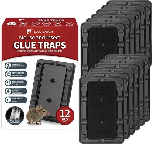 LULUCATCH Mouse & Insect Traps - 12 Pack of Non-Toxic, Heavy-Duty Sticky Traps for Indoor Use