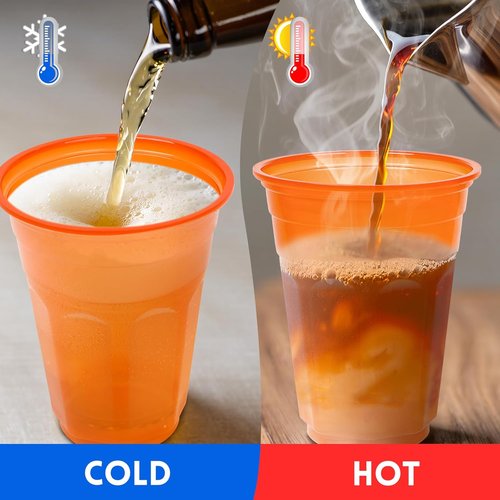EcoDispose 16 oz Reusable Plastic Party Cups - 48 Count, BPA-Free & Shatter-Resistant for Events