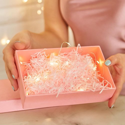 Etinga 7FT 20 LED Warm White Fairy Lights - Battery Operated Mini String Lights for Weddings, Parties & Decorations