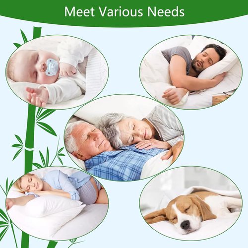 GOONIK Queen Mattress Protector - Waterproof Bamboo Viscose Pad Cover for 6-18 Inch Deep Mattresses
