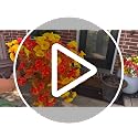 Artificial Fall Mums Flowers - Yellow | Outdoor Decor, Lush & Realistic