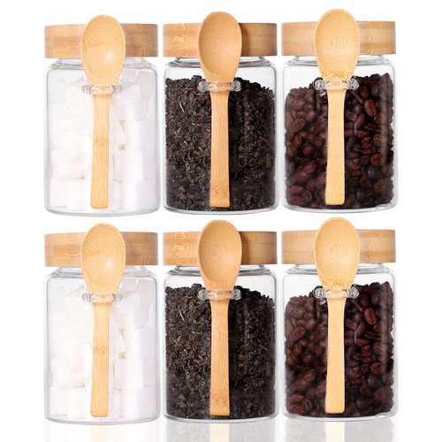 LEAVES AND TREES Y 16 OZ Tea Jars Screw Top for Loose Tea, Set of 6 Loose Leaf Container Airtight, Glass Jars with Screw on Lids and Spoons, Overnight Oats Containers with Lids