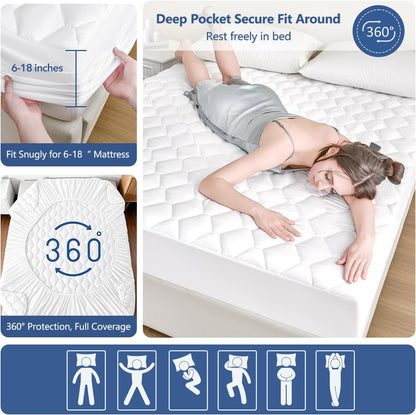 Skiennix Queen Mattress Protector - Waterproof & Washable Fitted Cover | Soft, Noiseless, Deep Pocket (White)