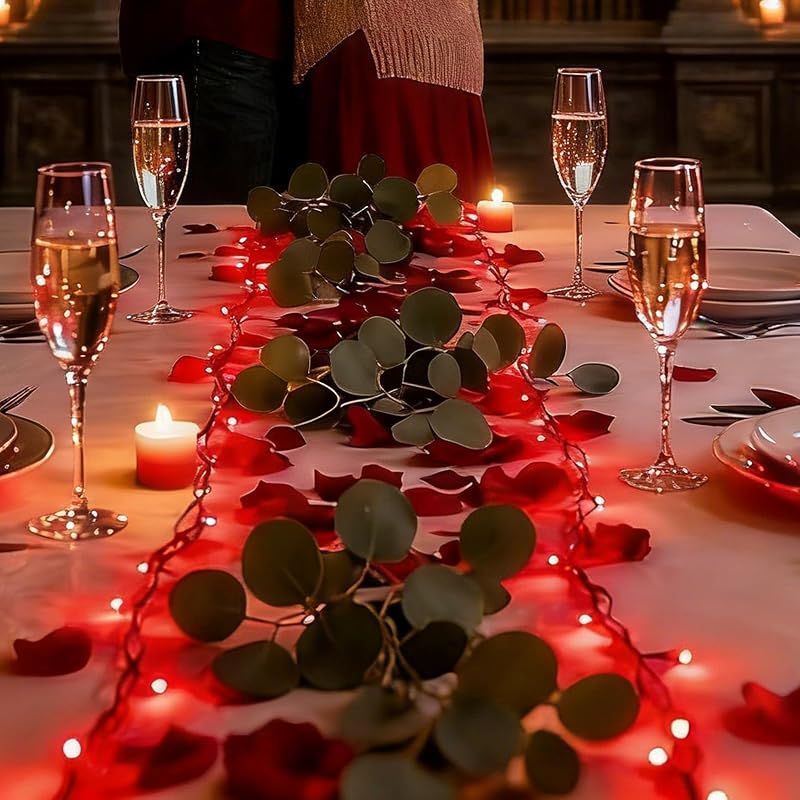 66ft Christmas LED String Lights 200 Red LEDs Green Wire Plug-In with 11 Modes - IP44 Waterproof Indoor/Outdoor, 66ft + 19.2ft Lead, Red (Variation: Red+200LED)