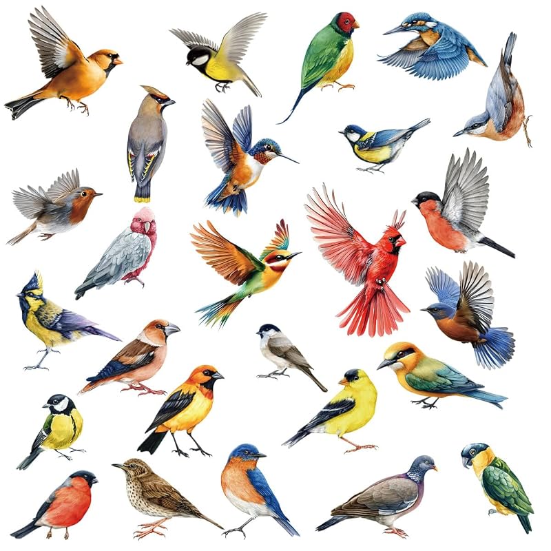 Colorful Bird Window Clings 26 Pcs on 9 Sheets – Reusable Static, No Glue