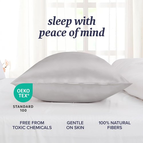 Beckham Hotel Collection Silk Pillow Case with Zipper, 100% Mulberry Silk Pillowcase for Hair & Skin, 22 Momme 6A Grade, Oeko-TEX Certified, 1PC, Queen, Silver Cloud