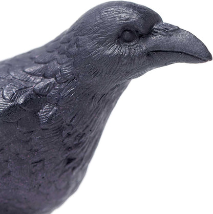 Safari Ltd. Raven Figurine - Realistic 3" Bird Model - Educational Toy for Kids Ages 3+