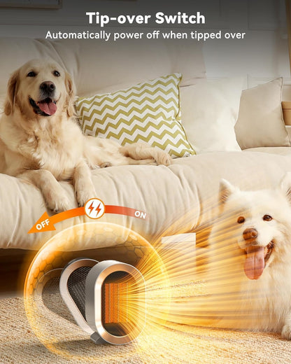 QQT Space Heater - Corded Portable PTC Ceramic Heater for Indoor Use | Quiet & Energy-Saving, White