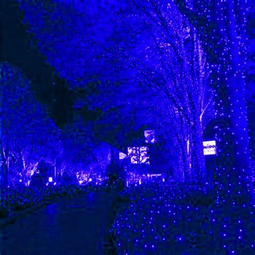 HISHINY LED Blue Christmas Net Lights - 100 LED Connectable Outdoor & Indoor Decorations | 5ft x 5ft