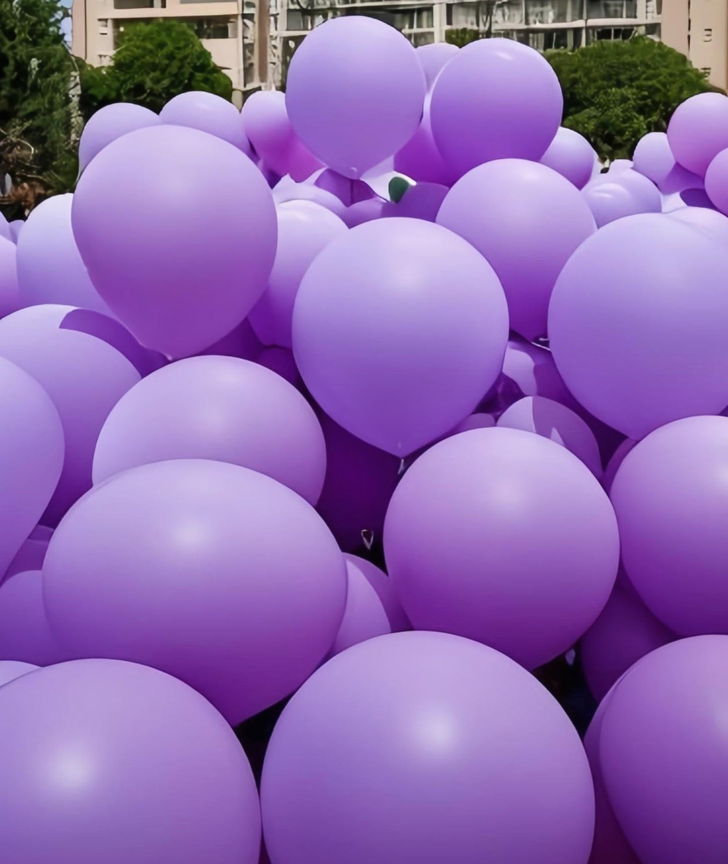 30 Pack Purple Balloons 36 inch Purple Latex Big Balloons for Party Decorations and Events