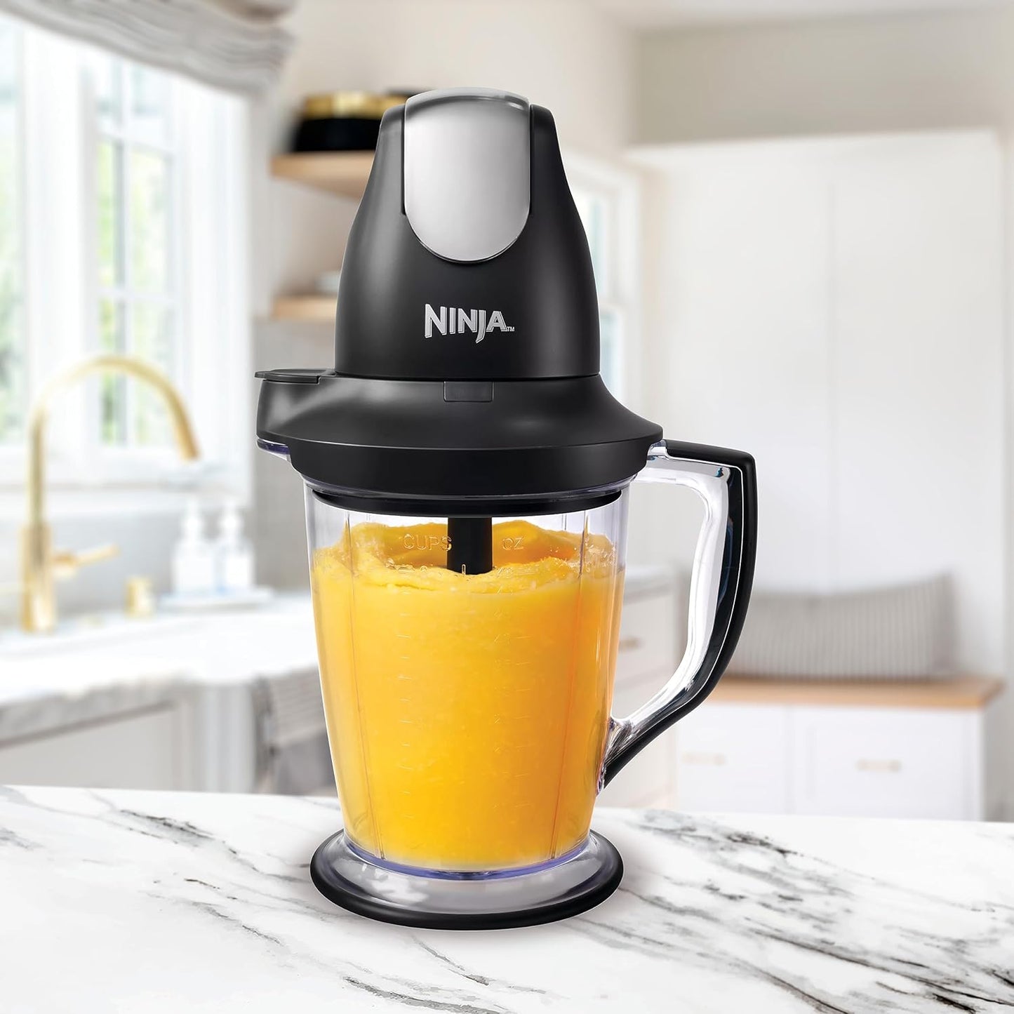 Ninja QB1004 Blender - 450W Food Processor with 48oz Pitcher & 16oz Chopper Bowl | Perfect for Smoothies & Meal Prep, Black