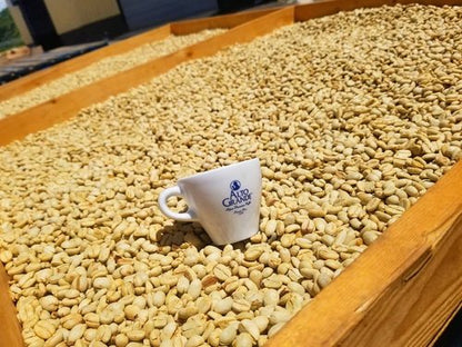 Alto Grande Super Premium Capsules for Nespresso Machines, 100 Percent Arabica Coffee From Puerto Rico (Espresso, 144 Count)