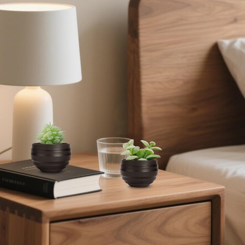 Der Rose Set of 6 Artificial Succulent Plants in Pots | Perfect for Halloween & Home Decor