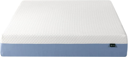 Zinus 10 Inch Queen Memory Foam Mattress - Cooling Comfort, Fiberglass Free, Medium Feel, Safe Materials