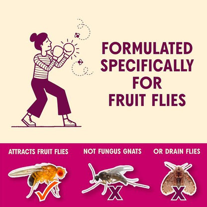Aunt Fannie's FlyPunch Fruit Fly Trap - Plant-Based, Safe for Food, Lasts 30 Days | 1 Bottle