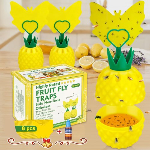 Fruit Fly Trap - Skiennix Effective Indoor Gnat Catcher with Non-Toxic Bait | 2 Pack