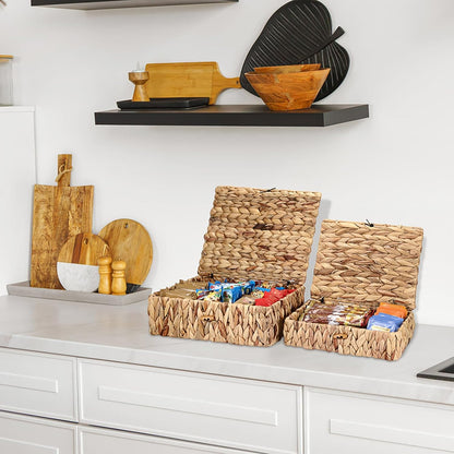 Regine Switzerland Set of 2 Handwoven Water Hyacinth Baskets - Decorative Storage Bins with Lids for Organizing