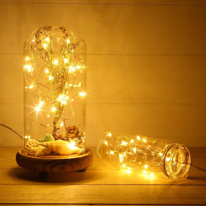 ANJAYLIA Fairy Lights - 16.5Ft Battery Operated String Lights | 50 Warm White LEDs for Home & Party Decor