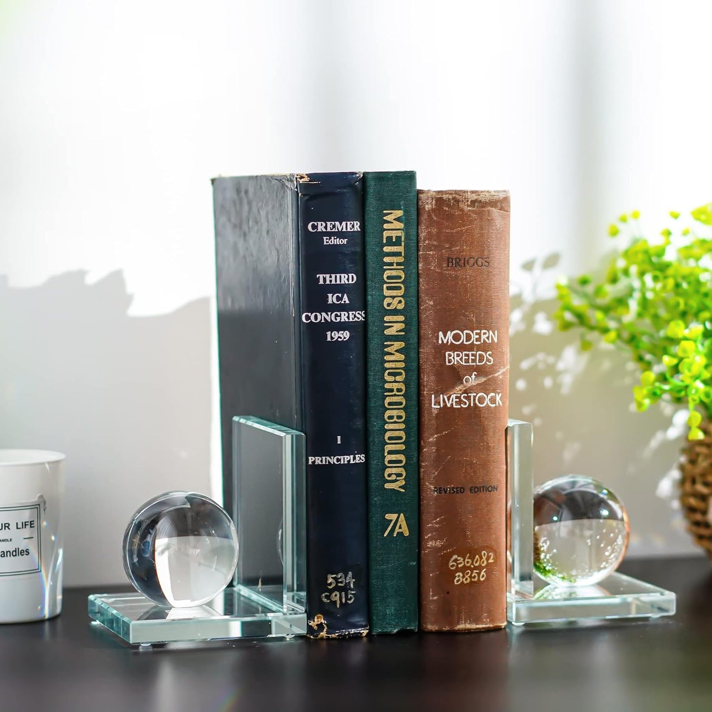 Skiennix Crystal Bookends - L Shape Non-Skid Heavy-Duty Book Holder | 4 Inch Clear Decorative Ornaments