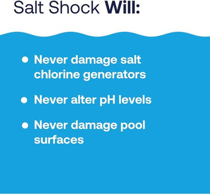 HTH 52047 Swimming Pool Care Salt Shock - Stabilized Chlorinator, Treats 10,000 Gallons | 5 Packets