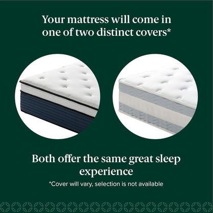 ZINUS 12 Inch Comfort Support Hybrid Mattress - Queen Size, Medium Plush, Fiberglass Free, Motion Isolation