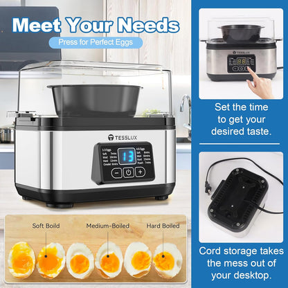 Skiennix Electric Egg Cooker - 6 Egg Capacity for Hard Boiled, Poached, Scrambled Eggs | Auto Shut Off, Silver