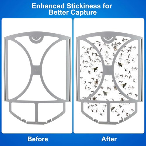 Flying Insect Trap, Plug-in UV Light for Gnats, Fruit Flies and Houseflies, Silent Sticky Catcher for Indoor Use, 1 Device & 3 Refills