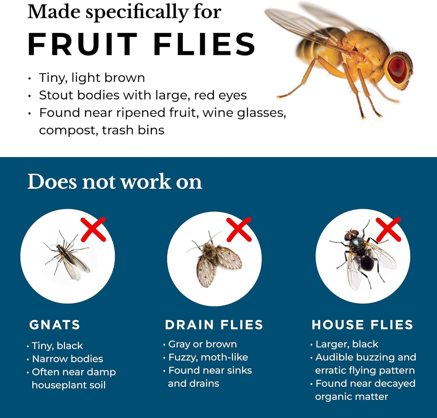 Wondercide - Fruit Fly Traps for Indoors - Fruit Fly Killer - Pet and People Safe - Made in USA & Plant Based - 5.4 oz - 2 Pack