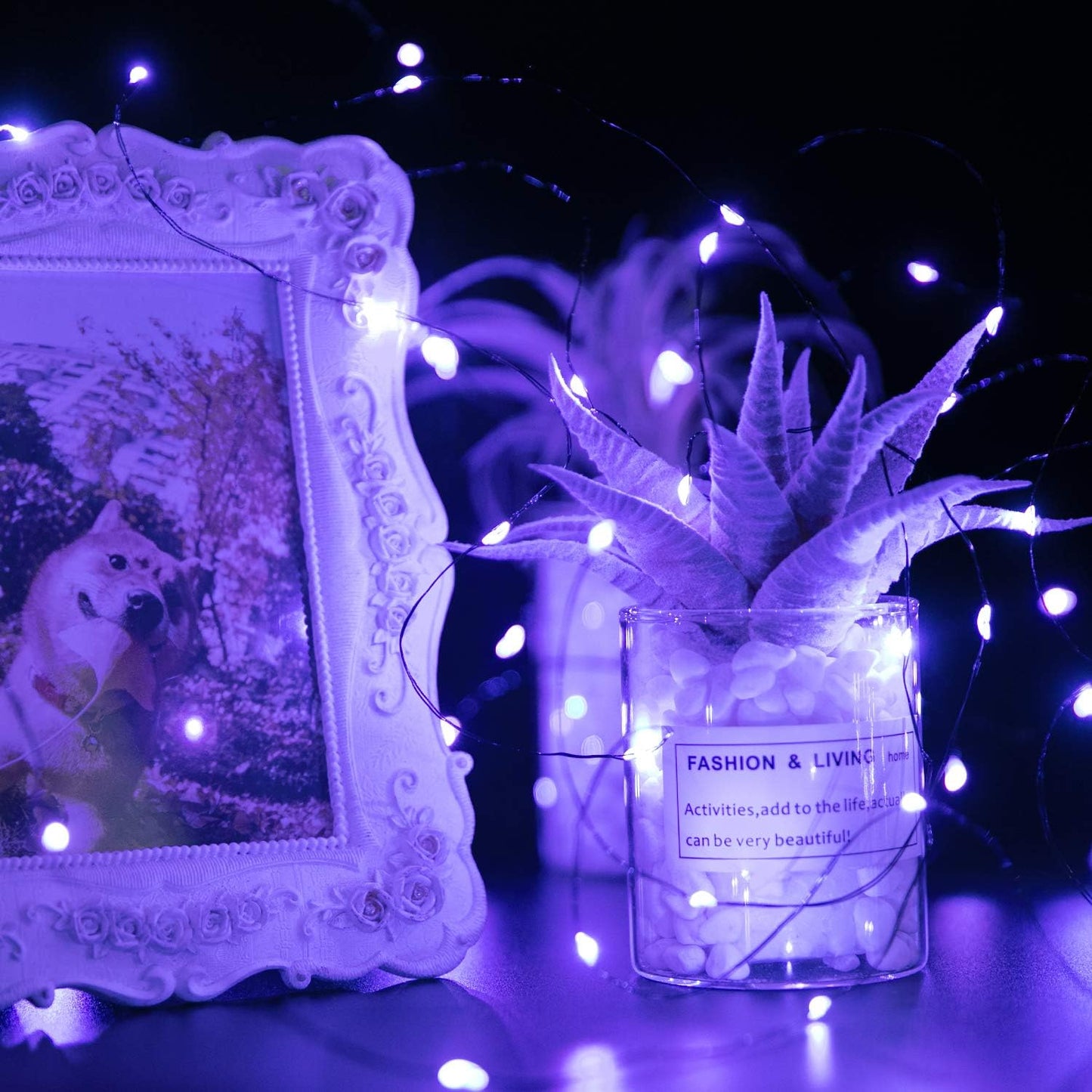 Skiennix Halloween Purple Fairy String Lights - 12 Pack 7 Ft Battery Operated LED for DIY Party & Patio Decor
