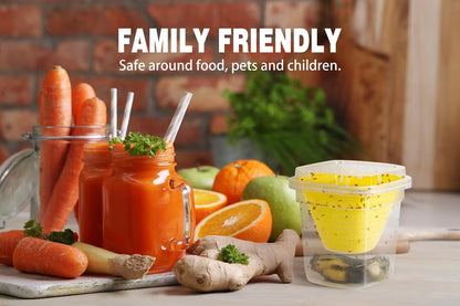 Reusable Fruit Fly Trap by Skiennix - Non-Toxic & Safe for Kids and Pets | Easy Kitchen Control - 6 Pack