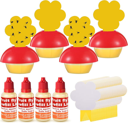 Qualirey Fruit Fly Trap - Indoor 4-Pack with Refill Liquid & 60 Sticky Pads | Safe for Pets & Kids