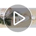 Natural Flat Oyster Shells 4-6 Inches for Crafts and Decor - Set of 20