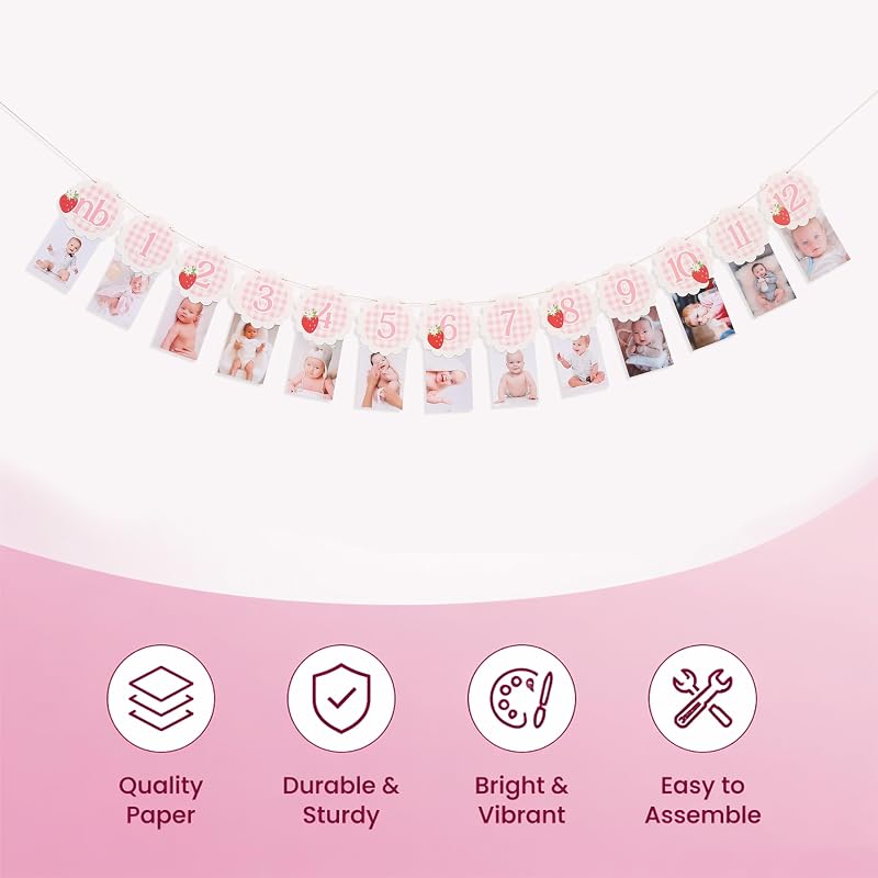 Strawberry Gingham 13-Card Milestone Photo Banner - 0-12 Months, Strawberry-3