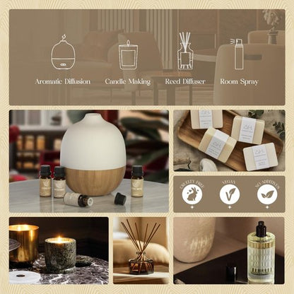ARVIDSSON Hotel Diffuser Oils Gift Set, Hotel Scent Essential Oils for Diffuser, Luxury Fragrance Oil Blend - Jasmine & Mint, White Tea, Citrus Bliss, M-Way, Fancy Lobby, Gift for Women and Men