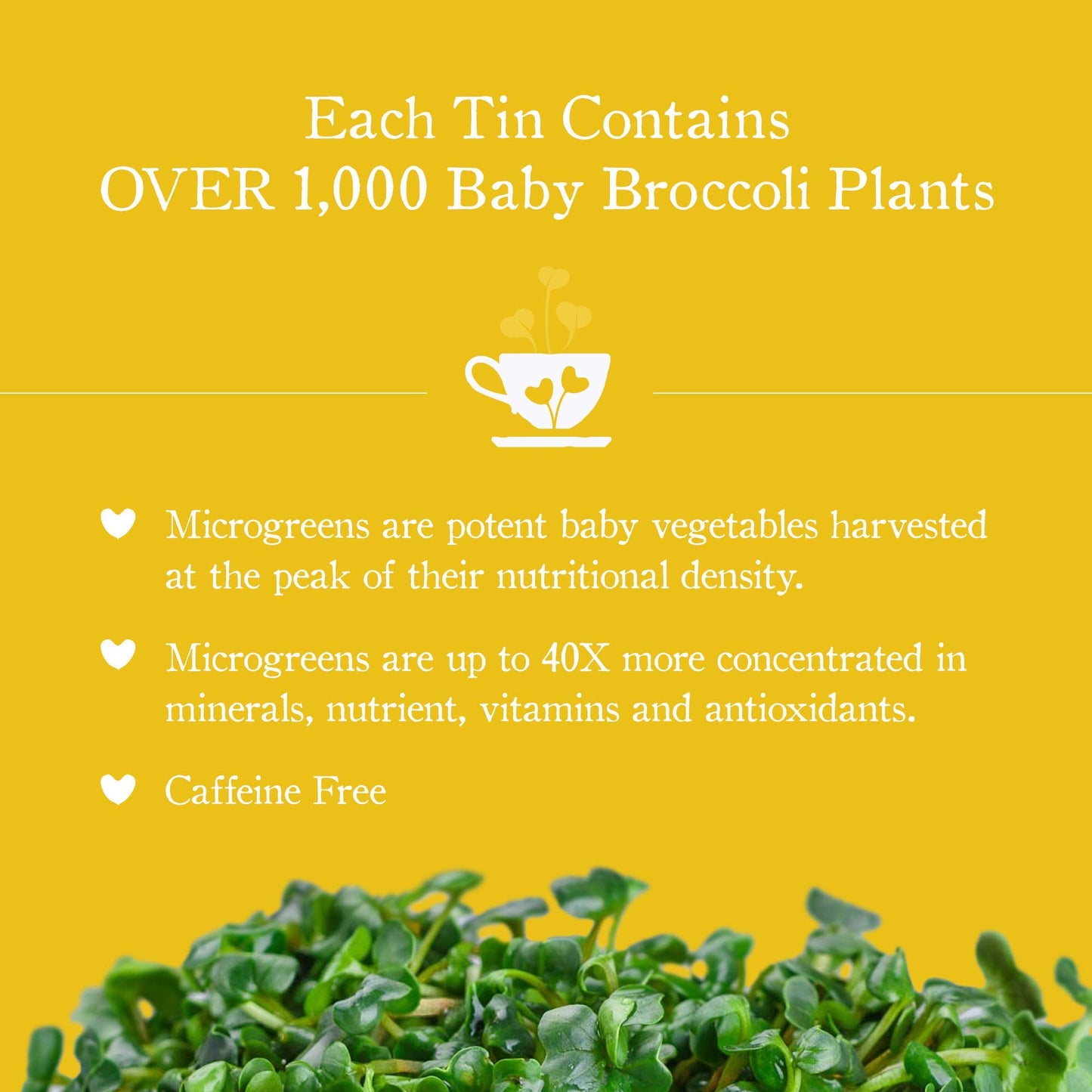 MICROTEA Organic Loose Leaf Functional Teas PLUS Immune Supporting Antioxidant Microgreens for Vitamins, Micronutrients | (Relax)