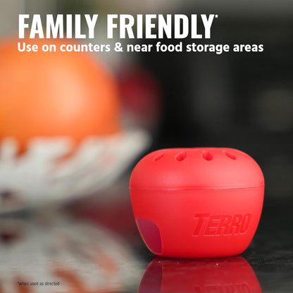 TERRO Fruit Fly Traps for Indoors (4 Pack) + 180 Days of Lure Supply - T2503SR - Lure and Kill Indoor Fruit Flies Near Fruit, Trash Cans, Countertops - Ready to Use Trap - 180 Day Supply