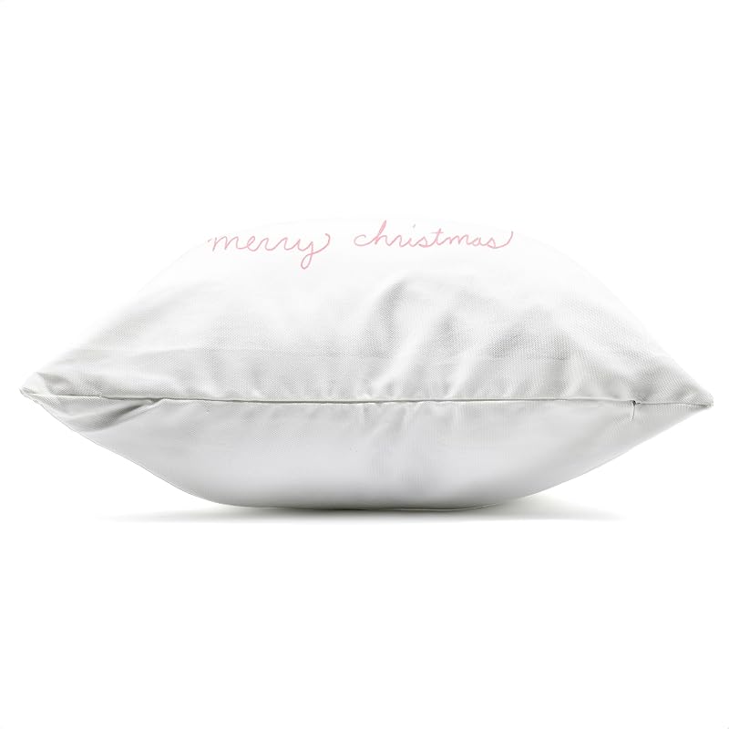 Blue Merry Christmas Car Cat 18x18 Inch Indoor Throw Pillow — Variation Merry Christmas Car Cat