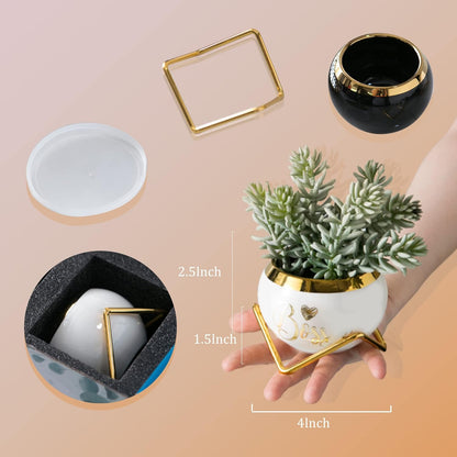 PeraBella Boss Gifts for Women | Succulent Pots - Perfect Birthday & Boss's Day Gifts - 3 Pcs