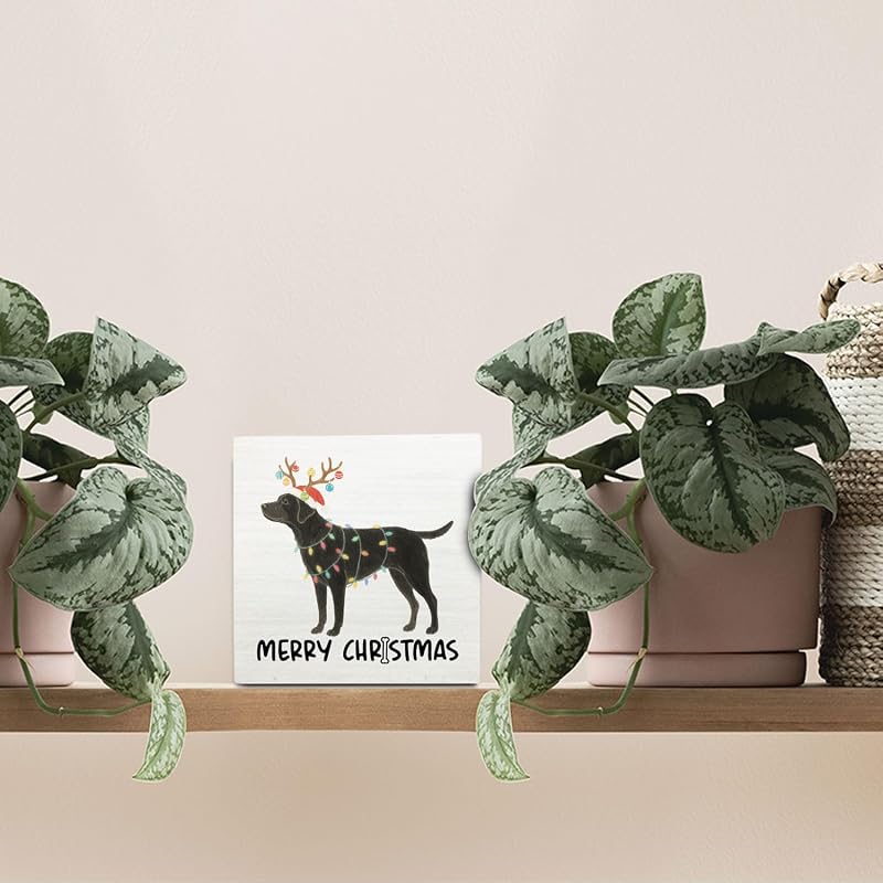 Black Labrador Merry Christmas Wooden Box Sign - 5x5 Inch Desk & Wall Decor (Variation: Black Labrador)