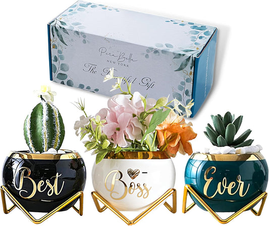 PeraBella Boss Gifts for Women | Succulent Pots - Perfect Birthday & Boss's Day Gifts - 3 Pcs