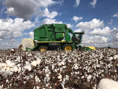 Grown In The USA Raw Cotton Stuffing - Premium Quality Batting | 3 lbs