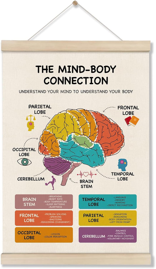 Skiennix Mental Health Poster Hanger Frame - Brain Anatomy Artwork for Therapy & School | 16x12 Inch