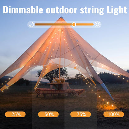 WERTIOO Globe String Lights - 33ft 100 LED Battery Operated Lights with Remote & Timer | Warm White for Indoor & Outdoor Use
