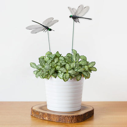 Skiennix Dragonfly Garden Stakes - Lifelike 3D PVC Decor for Indoor/Outdoor Plants | 10 Pcs Black