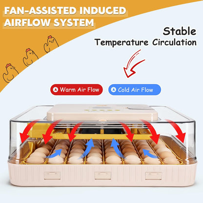 Sailnovo 56 Egg Incubator - Automatic Egg Turning & Humidification | Temperature Control for Chicken, Duck, Quail Eggs