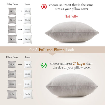 puredown® Natural Feather Down Throw Pillow Inserts 20 x 20 (Set of 2, White), Décor Pillow for Couch, Chairs, Office, Apartments